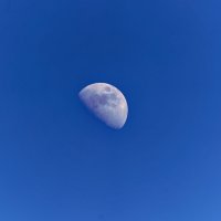 Привет Лунатикам! :: Вячеслав Алтай