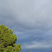 Красота у храма :: Оксана Корзун