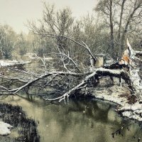 тяжёлый снег :: Любовь 