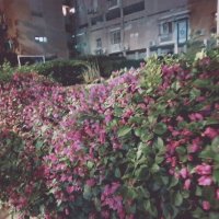 14  КЛОС (137) :: CLOSE WAYS ALL