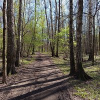 Прозрачность апреля :: Андрей Лукьянов