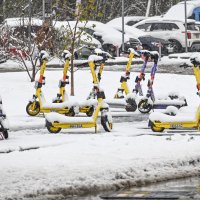 Приехали! В Москве остановили аренду самокатов :: Валерий Иванович