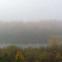 Туманное утро (серия) :: Любовь Сахарова