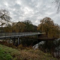 Уютный декабрь... :: Николай Гирш