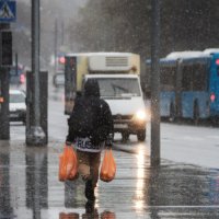 Снег в апреле №2 :: Chortyla 