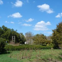 Природа  Крыма :: Валентин Семчишин