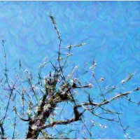 ЗДРАВСТВУЙ МАЙ! :: Elvira E. 