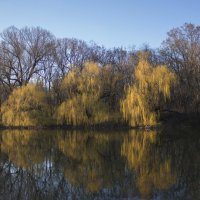 Весна. :: Александр. AVG100 ---