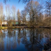 Пруд на окраине... :: Николай Гирш