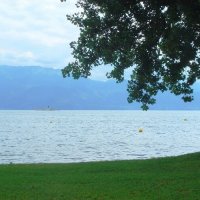 Лютри :: Галина 