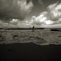 Осенняя Балтика :: Виктор Савельев