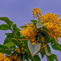 (°-°) :: Jakob Dick