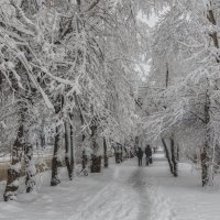 Снежный апрель :: Виктор Иванович Чернюк