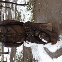 Эти не замерзнут :: Андрей Лукьянов