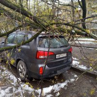 И нас не обошла сия чаша. Но здесь еще и повезло :: Андрей Лукьянов