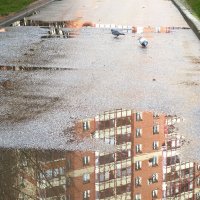 Любителям заглянуть в лужу..) :: Bosanat 