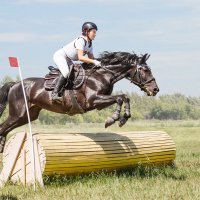 Кросс :: SanSan 