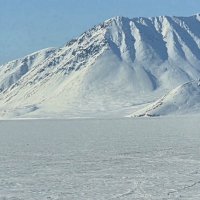 Пушистый друг на просторах Крайнего севера. :: Татьяна Чаброва