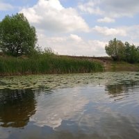 Усманка   хорошо. когда за городом в двух шагах от города :: Елена Шаламова