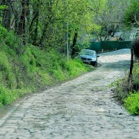 Зелень и авто :: Юрий Гайворонскiий