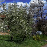 Зелень. небо и авто :: Юрий Гайворонскiий