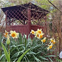 ****** :: Валерия Комова