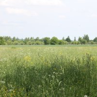 ДЕРЕВЕНСКИЕ ПРОСТОРЫ ЗА ОКОЛИЦЕЙ... :: Валентина 