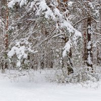 Снежный апрельский пейзаж :: Александр Синдерёв