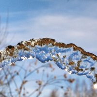 Водяной мостик :: Oleg S
