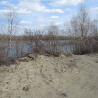 Озеро весной :: Андрей Макурин