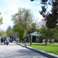 Весна в парке  Тренёва :: Валентин Семчишин
