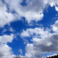 хоровод небесный :: Владимир 