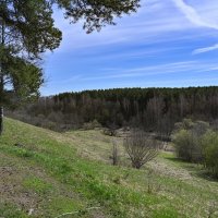 Подмосковье :: Вадим 