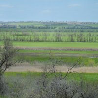 Степная геометрия :: Надежда Куркина 