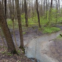 Ну, Очень скромное обаяние апреля :: Андрей Лукьянов