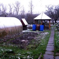 Зима в конце апреля :: Людмила Смородинская