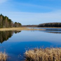 Про озёра Смоленщины. :: Милешкин Владимир Алексеевич 