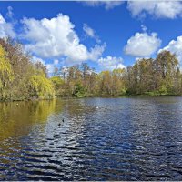 Озеро Ботанического сада. :: Валерия Комова