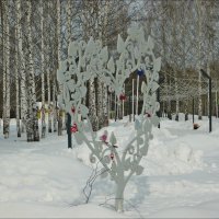 На фоне берёзок! :: Надежда 