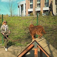 Пожалуйста, в профиль :: Юрий Велицкий