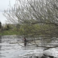 На большой воде... :: Olga Oskolkova