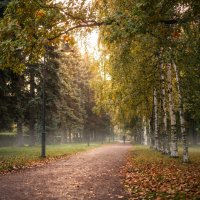 Дорожка в парке :: Лилия 