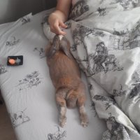 . :: Алексей Неустроев