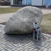 На набережной :: Ольга 
