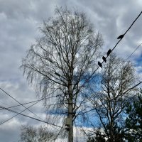 На посадочной полосе. В ожидании вылета). :: Любовь 