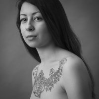 *** :: zan zibovsky