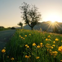 sunset :: Elena Wymann