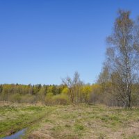 В поле... :: Владимир Жданов