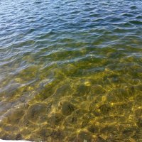 Вода - это не просто Н2О :: Андрей Лукьянов