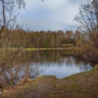Весна. Парк Сосновка. :: Лилия *
